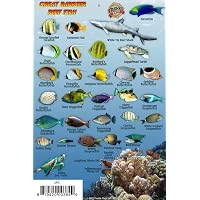 Fishes of the Great Barrier Reef and Coral Sea, Revised and
